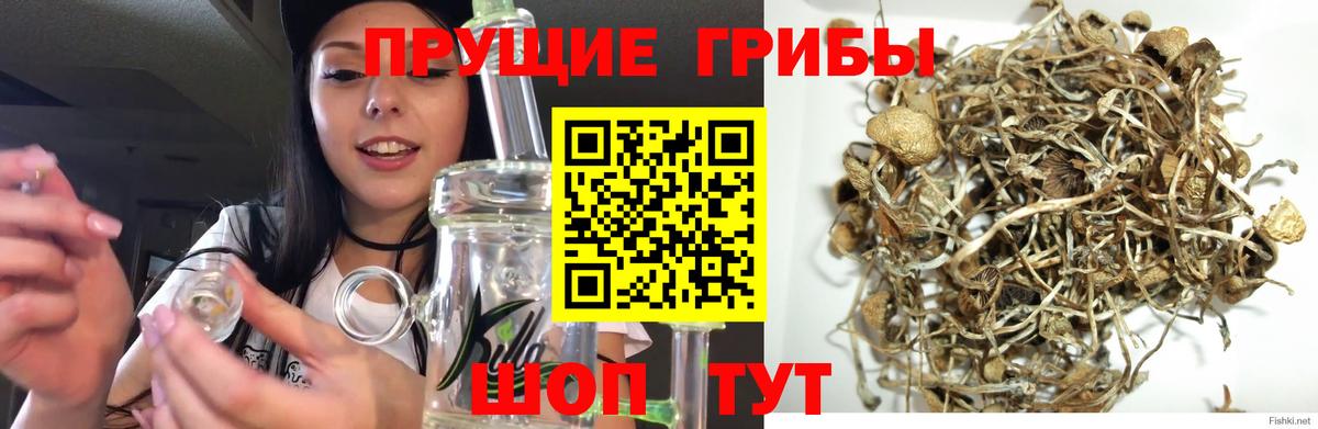 NBOMe Малгобек