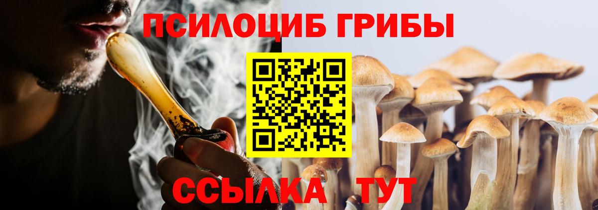 Галлюциногенные грибы мицелий  Вход с VPN  Малгобек  Псилоцибиновые грибы GOLDEN TEACHER 